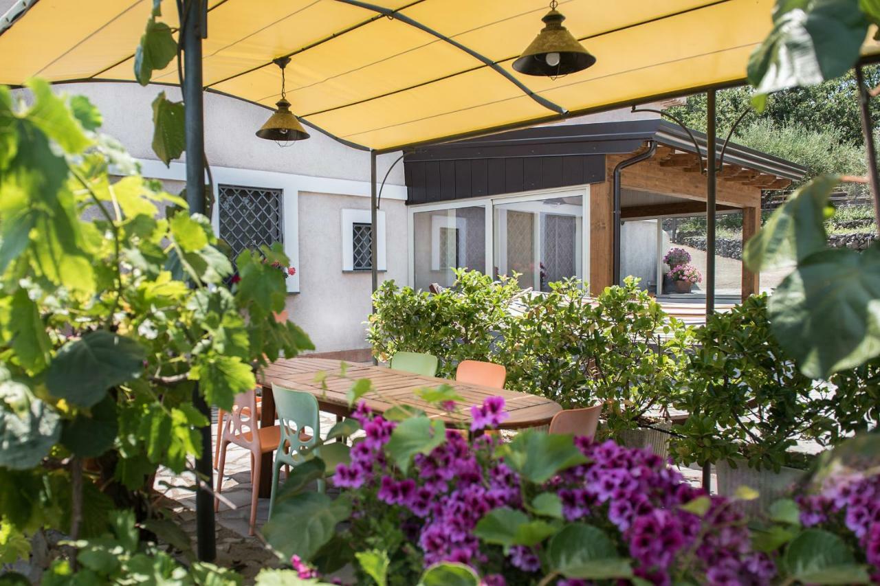 Willa Seacily Etna House Piedimonte Etneo Zewnętrze zdjęcie
